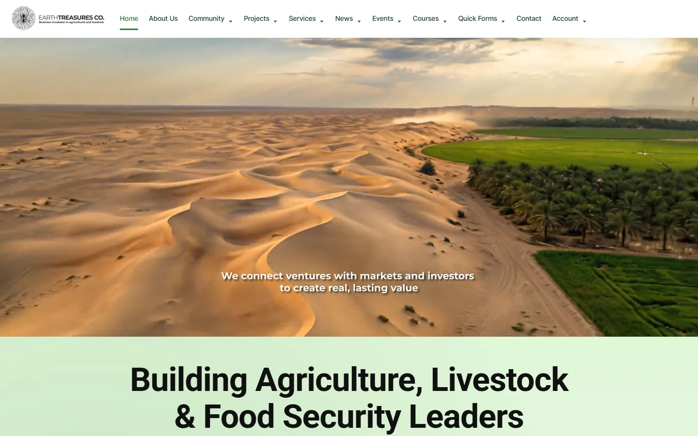 Earth Treasures (ETAL) website home page designed by 1MillionWebs
